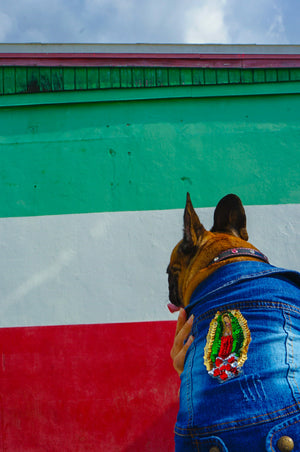 Mexituras Jacket for Dog (French Bulldog)  with a Mexican Flag sequins
